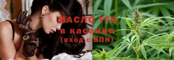 гидра Володарск