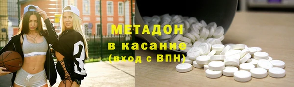 шишки Тайга