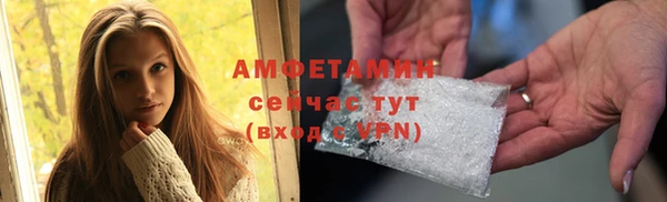 гидра Володарск