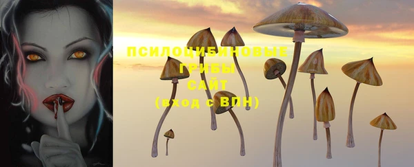 spice Волоколамск