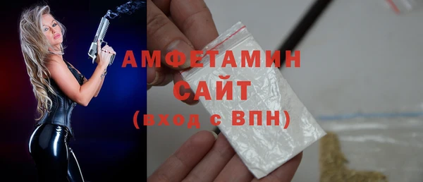скорость Вяземский