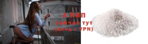 гидра Володарск