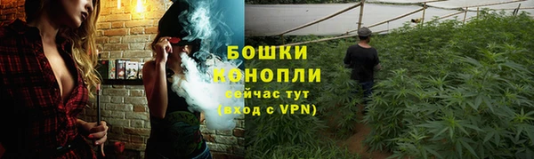 гидра Володарск