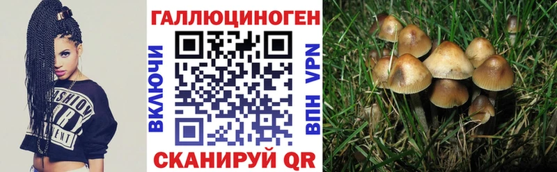 Галлюциногенные грибы GOLDEN TEACHER  Зерноград 